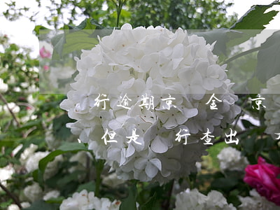 銀行逾期京東金條(京東金條從來沒有逾期、但是銀行查出來有逾期記錄)